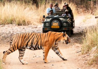 Adventure tour with Jaipur Delhi One way Taxi