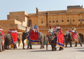 Animal Rides tour with Jaipur Delhi One way Taxi